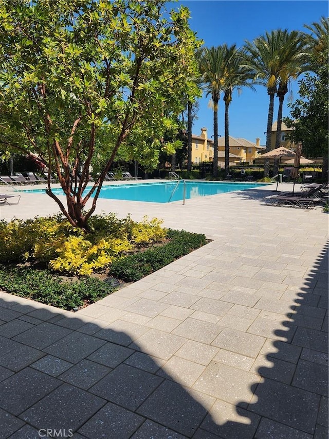 view of swimming pool featuring a patio area