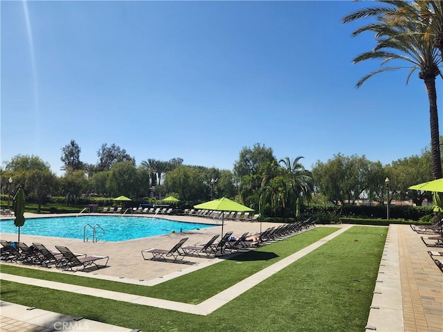 view of swimming pool with a yard and a patio area