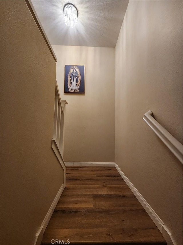 stairway with hardwood / wood-style flooring