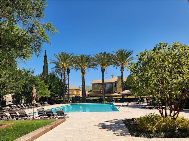 view of swimming pool featuring a patio