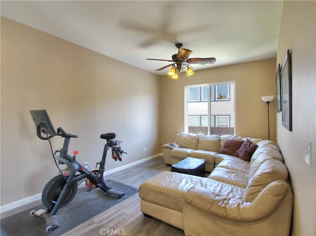 workout area with ceiling fan and dark hardwood / wood-style flooring