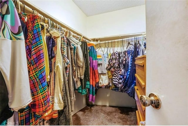 spacious closet featuring carpet floors