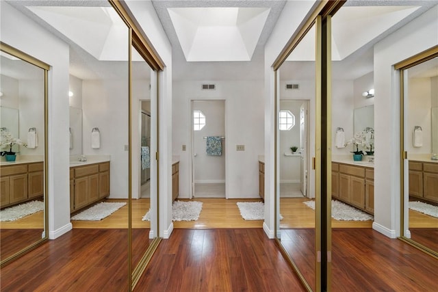 foyer entrance featuring a skylight, dark hardwood / wood-style flooring, and sink