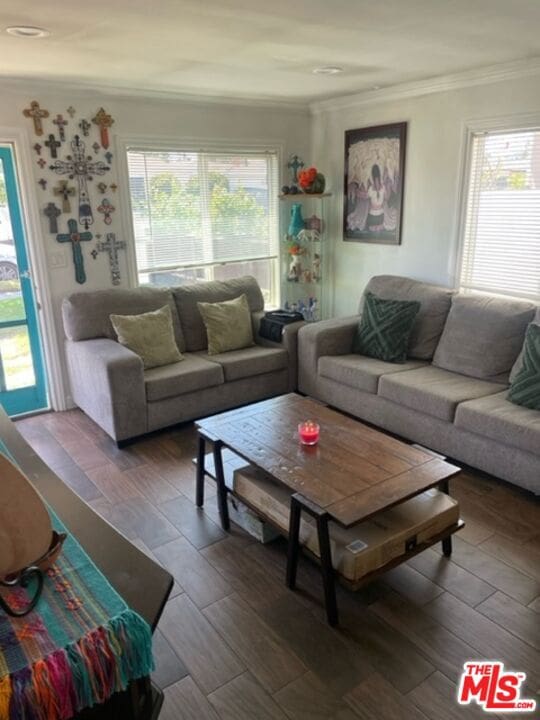 living room with hardwood / wood-style floors and ornamental molding