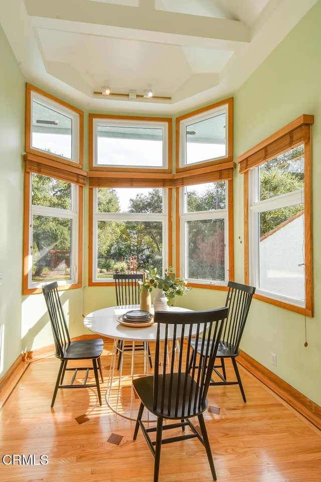 dining area with plenty of natural light and light wood-type flooring