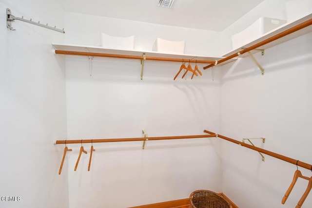 view of spacious closet