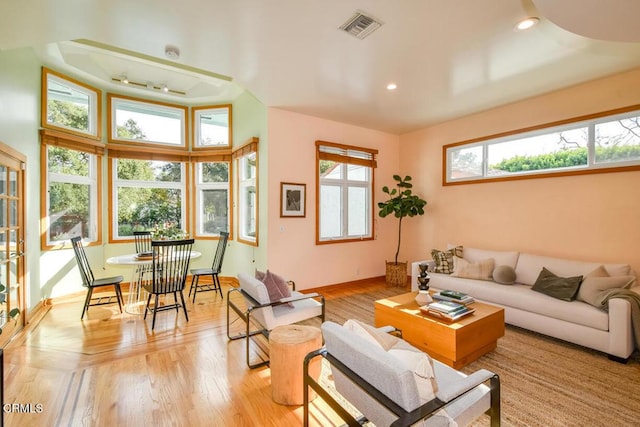 living room with light wood-type flooring and a wealth of natural light