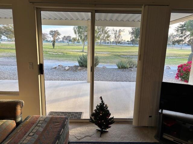 doorway to outside with carpet and a healthy amount of sunlight