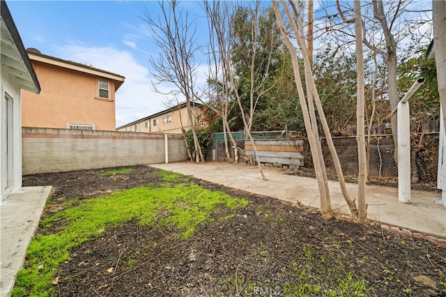 view of yard featuring a patio