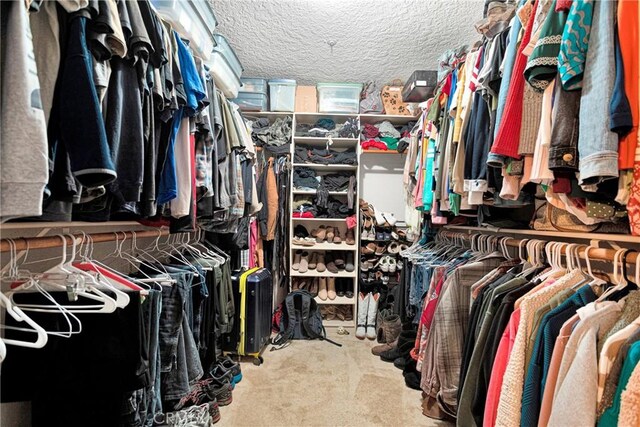 walk in closet with carpet floors