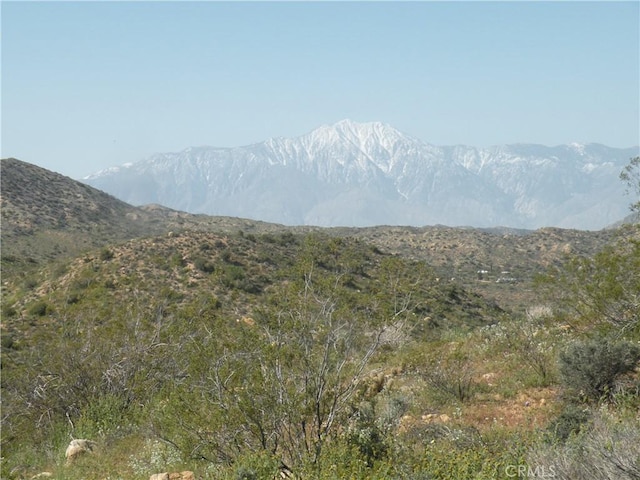 54595 Navajo Trl, Yucca Valley, CA 92284 - photo 4