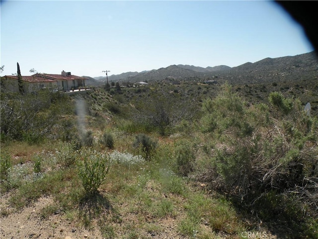 54595 Navajo Trl, Yucca Valley, CA 92284 - photo 5
