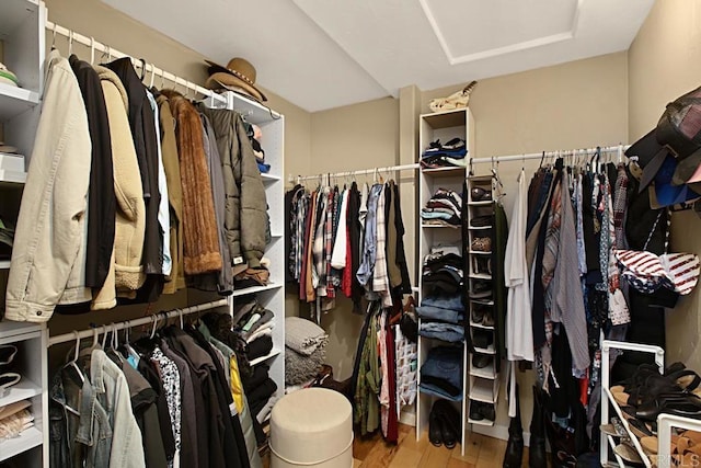 walk in closet with hardwood / wood-style flooring