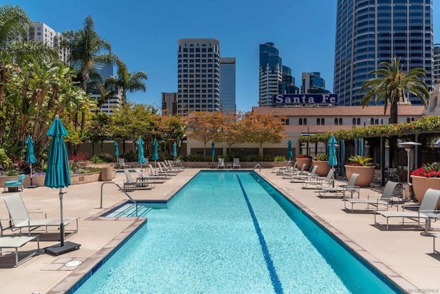 view of pool featuring a patio