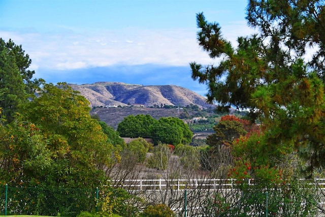 view of mountain feature