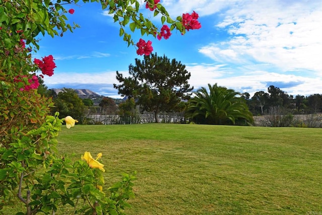 view of yard