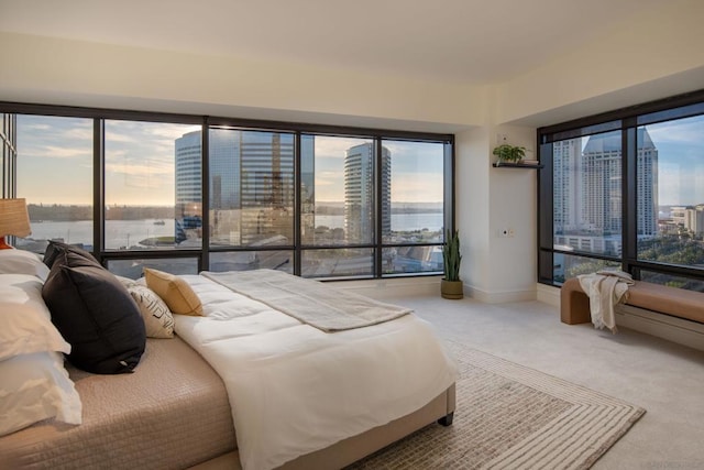 carpeted bedroom with a water view