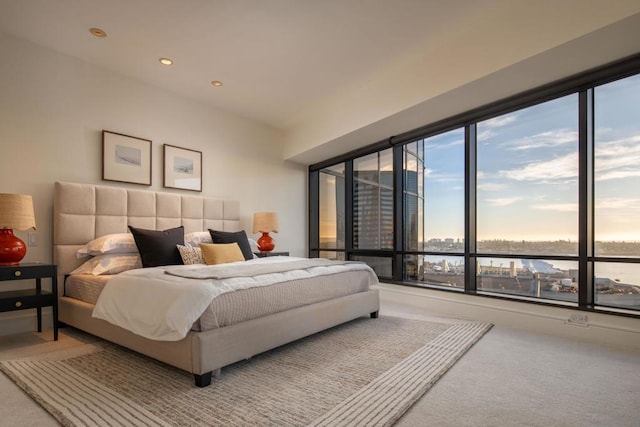 carpeted bedroom with a water view