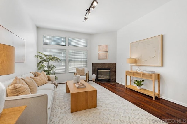 living room with rail lighting, a fireplace, and hardwood / wood-style flooring