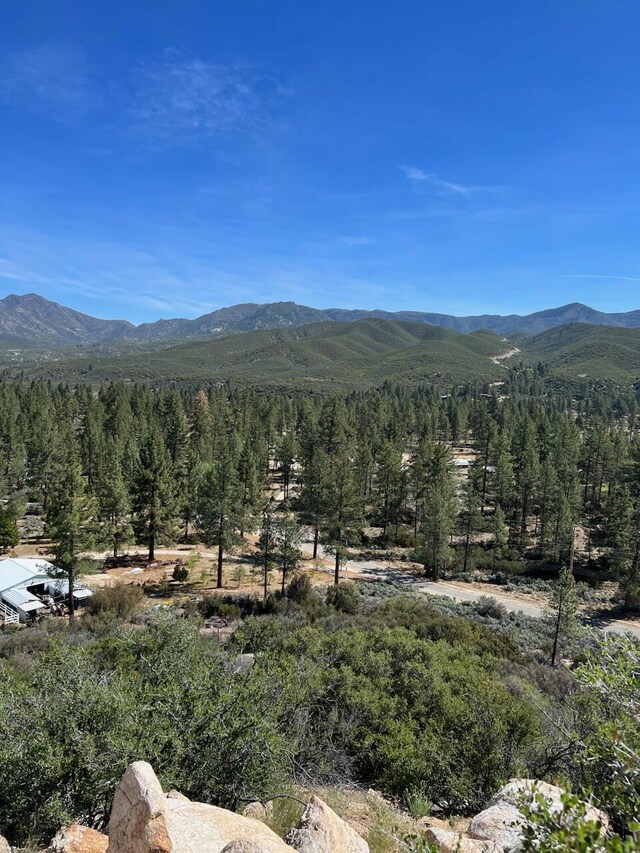 Listing photo 2 for 0 Pipe Creek Rd, Mountain Center CA 92561