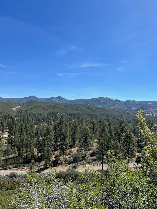 0 Pipe Creek Rd, Mountain Center CA, 92561 land for sale