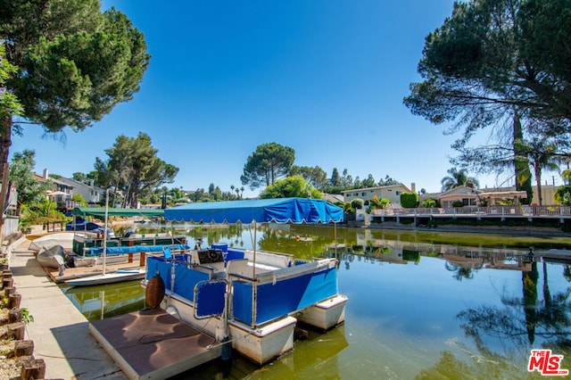 dock area with a water view