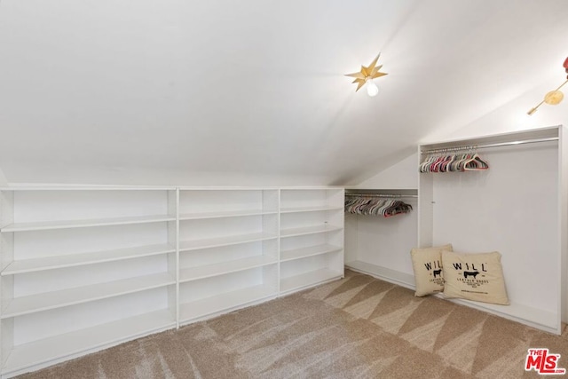 walk in closet featuring vaulted ceiling and carpet flooring