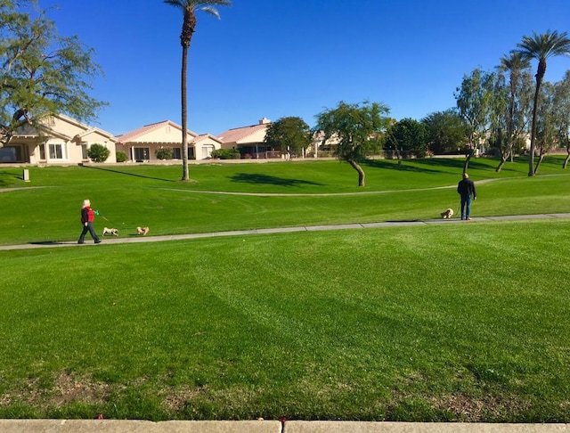 view of property's community featuring a lawn