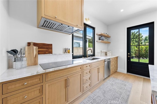 kitchen featuring light hardwood / wood-style floors, stainless steel dishwasher, sink, light stone countertops, and black electric cooktop