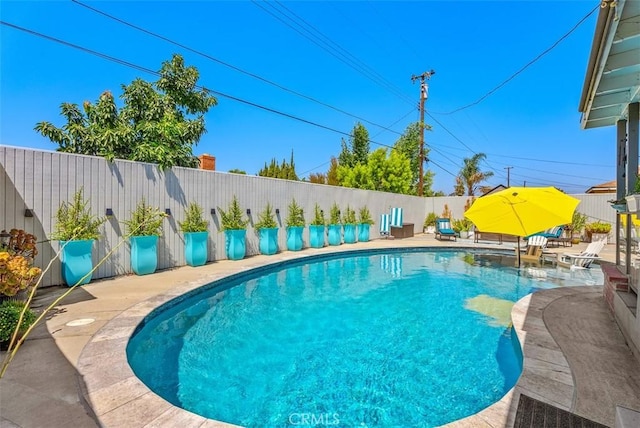 view of pool featuring a patio