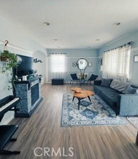 living room with wood-type flooring and plenty of natural light