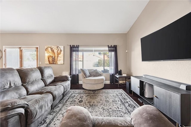 living room featuring dark hardwood / wood-style flooring, lofted ceiling, and a healthy amount of sunlight