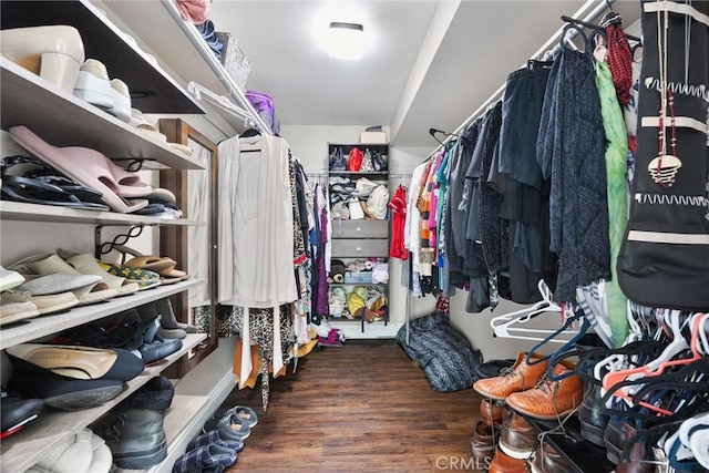 walk in closet with dark hardwood / wood-style floors