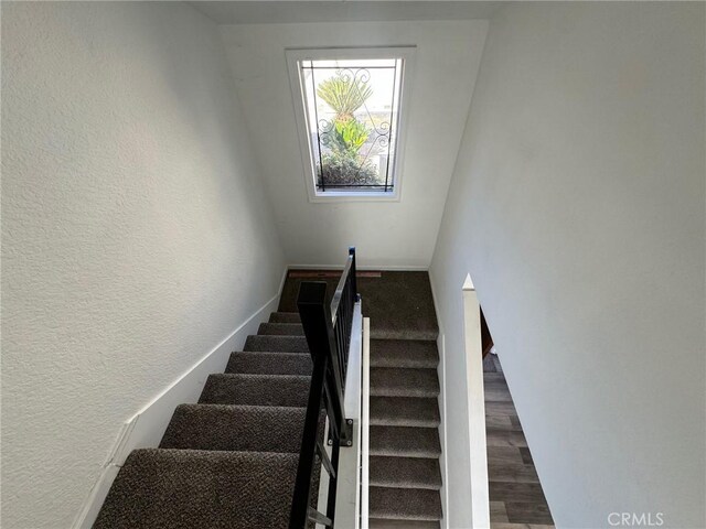 stairway with hardwood / wood-style flooring