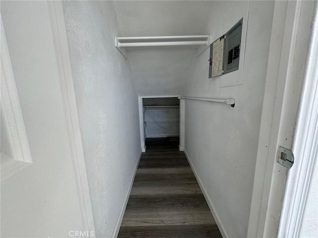 stairs with hardwood / wood-style floors and electric panel