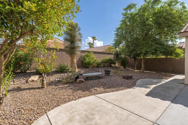 view of yard featuring a patio area