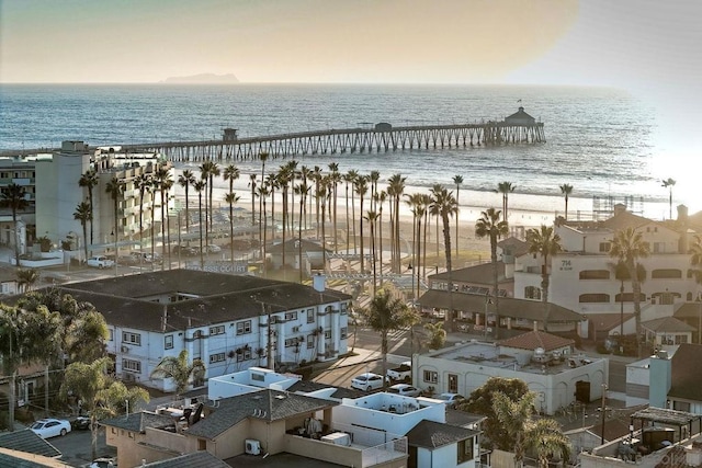 drone / aerial view featuring a water view and a view of the beach