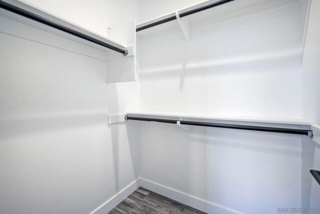 spacious closet featuring dark hardwood / wood-style floors