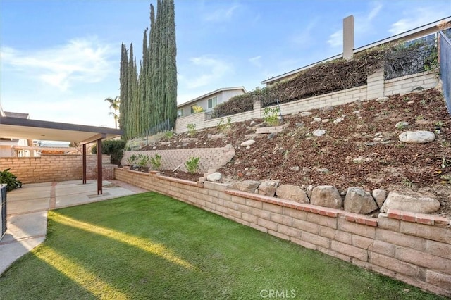 view of yard featuring a patio area