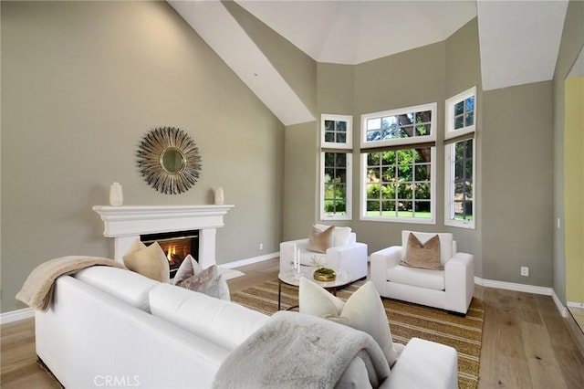 living room featuring light hardwood / wood-style floors and high vaulted ceiling