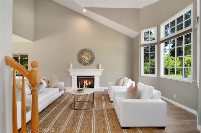 living room with lofted ceiling and hardwood / wood-style floors