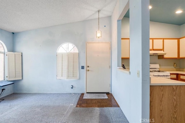 carpeted foyer featuring lofted ceiling and a textured ceiling