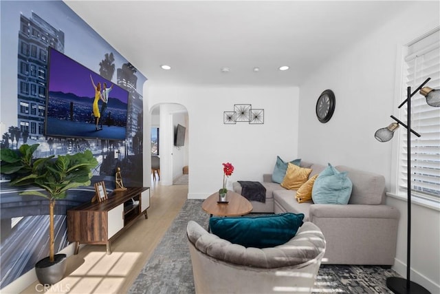 living room featuring hardwood / wood-style flooring