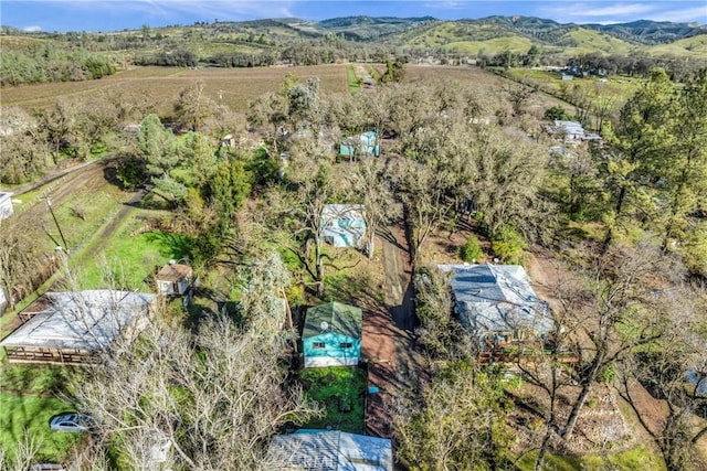 birds eye view of property featuring a mountain view