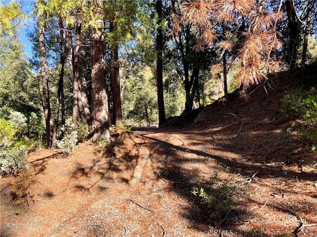 50963 Chu Ranch Rd, Oakhurst CA, 93644 land for sale