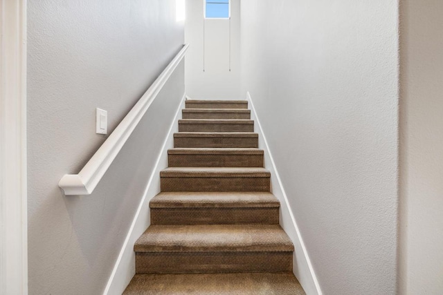 staircase with carpet floors