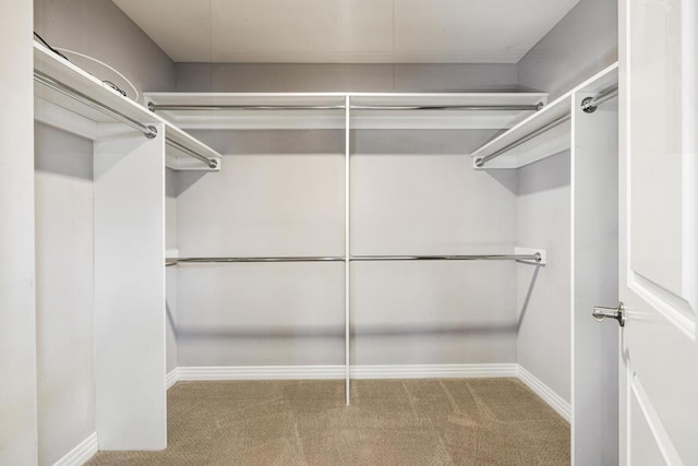 walk in closet with light carpet