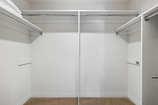 spacious closet featuring carpet flooring