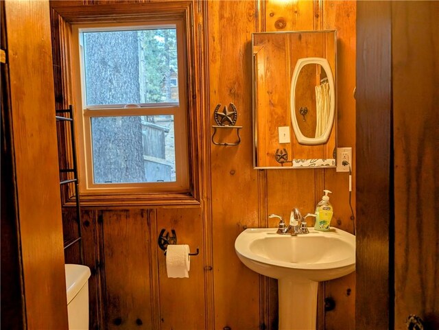 bathroom with sink, toilet, and wood walls