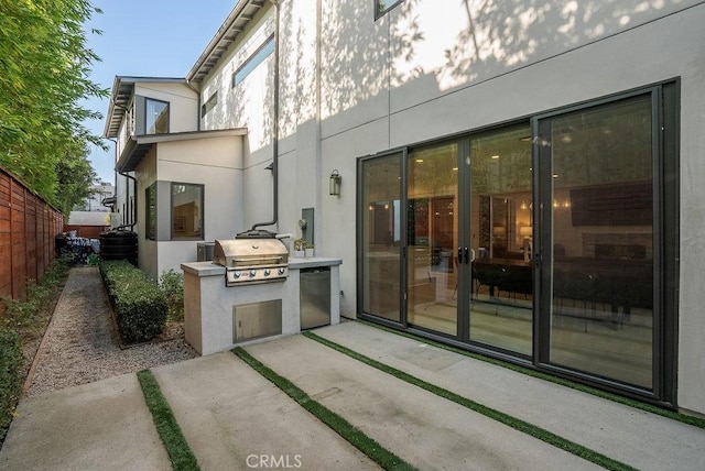 back of property with an outdoor kitchen and a patio area